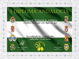 I Diploma Andalucía